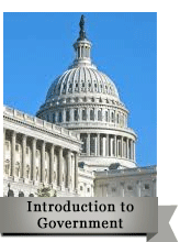 government